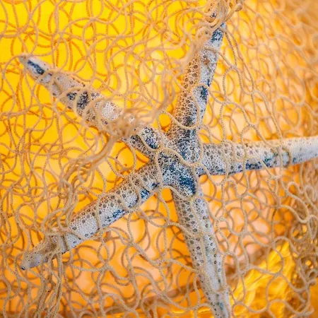 Vendégház Tipino 4*